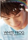 White Frog (2012).jpg